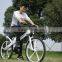 Hot sale EN 15194 electric bicycle with motor front mag wheel