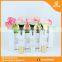 Wholesales China Transparent Plastic Lip Stick Tube