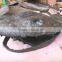 Hot sale fiberglass life size dinosaur skull