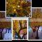 Simulation Outdoor Led Lighted Trees/maple Trees For Street Decorations