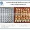 henan egg tray machine