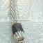 AAC /ASC beetle conductor bare aluminum wire