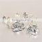 Guangzhou Wholesale Silver Jewelry New Fashion Woman'S Earrings