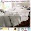 80%White Goose Down Comforter/Goose Down Duvet/Goose Down Quilt
