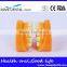 Double-Color Dentition Model School Education Teaching Model
