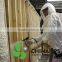 China Polyol Isocynate Polyurethane PU Rigid Spray Foam for Wall