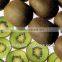 2016 New Crop Fresh Kiwi Fruit With Reasonable Price