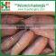BEST SELLER - CHINESE SWEET POTATOES