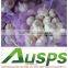 high quality agriculture wholesale china natural garlic offer