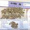 ARABICA GREEN BEAN COFFEE (skype: visimex08)