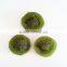 natural and healthy dried kiwi fruits