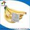 banana ethylene powder ripener/fruit ripener/ plant growth regulator