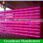 Hot sale led Led light for greenhouse