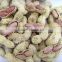 New crop high quality peanuts inshell