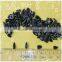 Black sunflower seeds for oil or for bird