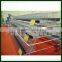 4 tiers chicken layer cage layer cages for sale chicken egg layer cages