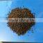 DAP fertilizer 18-46-0 Yellow color brown color 2-4mm in agricultural use