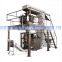 200 g Vertical Form Filler Food Packing Machine (VFFS 600)