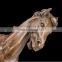 Life Size Bronze Horse Statue