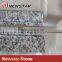 High Quality Grainte Tile White Granite Countertop