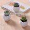 Amazon Hotsell Eggs Design Ceramic Succulent Planters