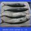 Frozen Pacific Mackerel Price