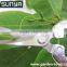 Top quality stainless long curved fruit snip