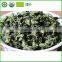HIGH QUALITY OOLONG TEA COMPETITIVE PRICE FROM CHINA