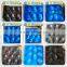 FDA Approval Vacuum Formed Blister Packaging 29x49cm Alveolus PP Tray For Fresh Fruits