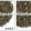 2017 healthy and slimming Green tea, Chunmee (Article No. 9366), Loose Leaf Tea