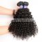 Sy Curly Human Braiding Hair, Different Types Of Curly Weave Hair