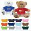 Cute and High quality teddy bear with shirt custom logo