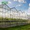High Efficient Venlo Tempered Glass Greenhouse With Hydroponic Growing System