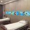 Hopsital Patient Room Using Medical Gas Pipeline System Terminal Equipment of Wall Mount Bed Head Trunkings Panel