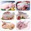 Fast delivery Automatic chicken cutting machine stainless steel chicken cutter price