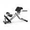Gym Equipment Roman Chair LOWER BACK BENCH TP26
