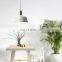 Hot Selling Elegant Fine Coffee Shop Restaurant Pendant Light
