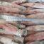 Frozen whole squid
