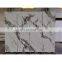 Italian marble slabs for wall and floor tile 800x2600x6mm