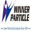 Jinan Winner Particle Instrument Stock Co.itd