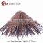 cheap pheasant feathers for carnival costumes