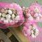 China Garlic Pric