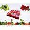 hydroponics 2015 full spectrum for greenhouse 1200w cob grow light led