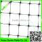 100% original HDPE with UV additives Crop protection anti bird net / 20m x 6m wide garden anti bird netting