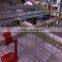manure conveyor belt for duck cages