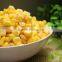 340g Canned Sweet Corn in Tin or Vacuum Packed Sweet Corn