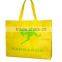 PP Non Woven Gift Bag