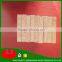 Finger joint laminated board in radiata paulownia / chile paulownia wood