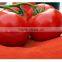2016 Natural vegetable tomato powder for sale