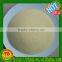 Garlic Granules/ Dehydrated Garlic Granules/Dried Garlic Granules for USA